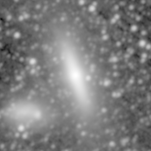 Survey preview for NGC 1596