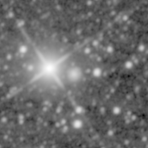 Survey preview for NGC 1599