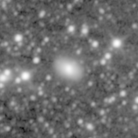 Survey preview for NGC 1604