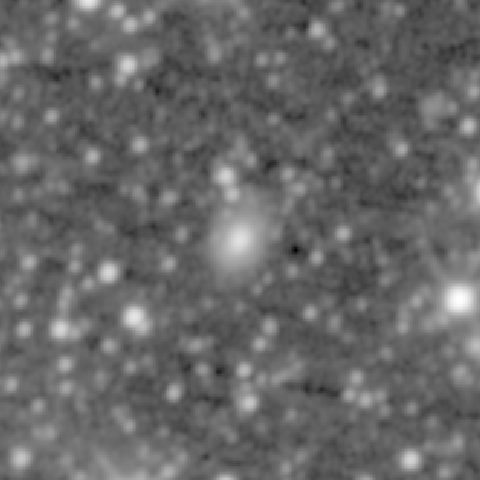 Survey preview for NGC 1610