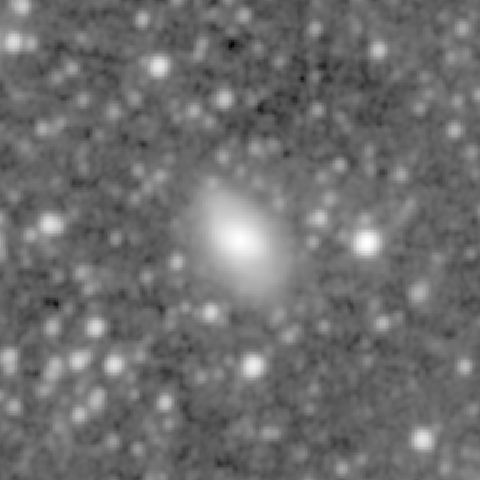 Survey preview for NGC 1631