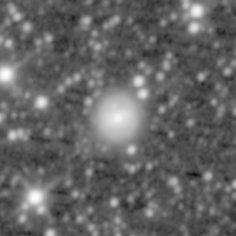 Survey preview for NGC 1635