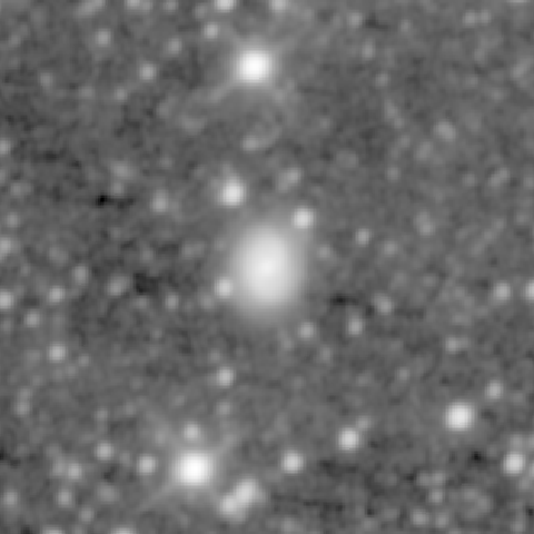 Survey preview for NGC 1636