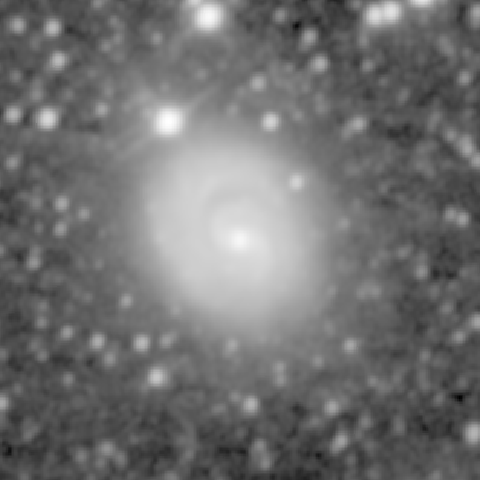Survey preview for NGC 1637