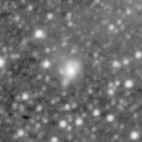 Survey preview for NGC 1643