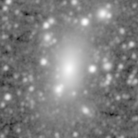 Survey preview for NGC 1650
