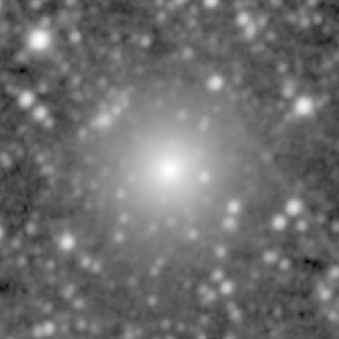 Survey preview for NGC 1653