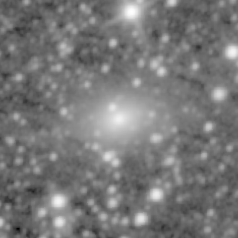 Survey preview for NGC 1668