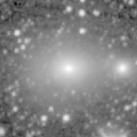 Survey preview for NGC 1684