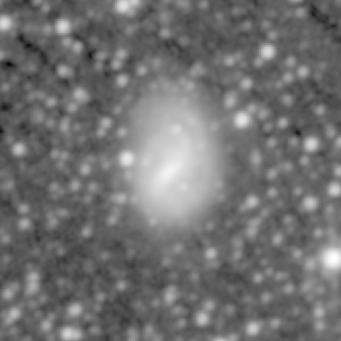 Survey preview for NGC 1688