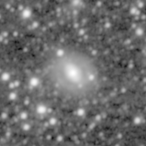 Survey preview for NGC 1691