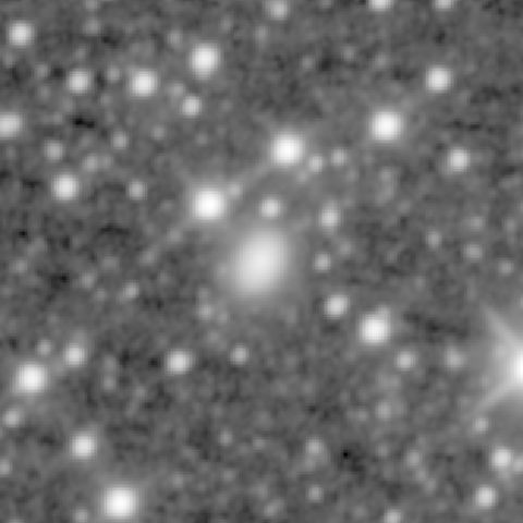 Survey preview for NGC 1699