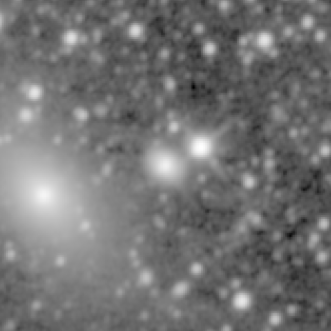 Survey preview for NGC 1709