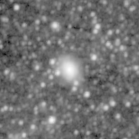 Survey preview for NGC 1716