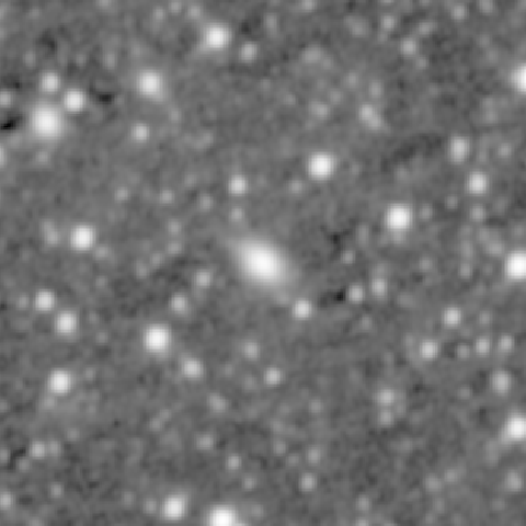Survey preview for IC 484