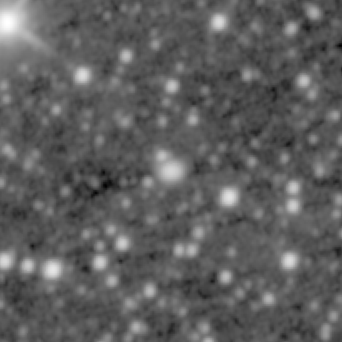Survey preview for IC 490