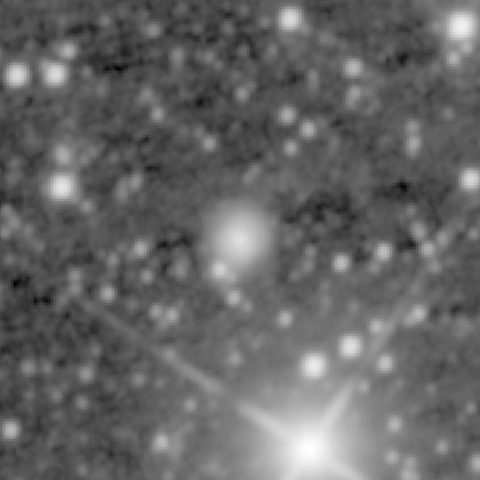 Survey preview for IC 492