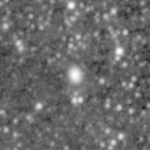 Survey preview for IC 493