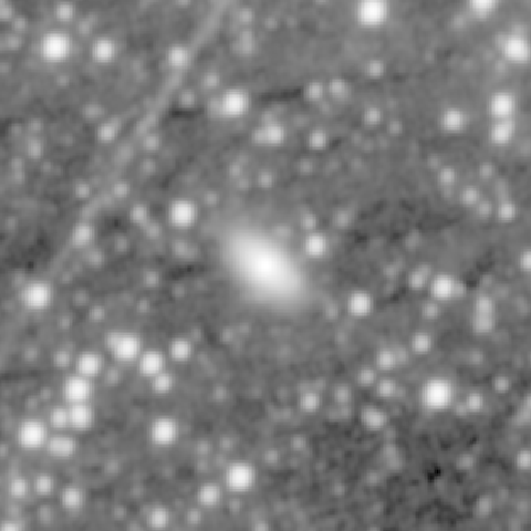 Survey preview for IC 494
