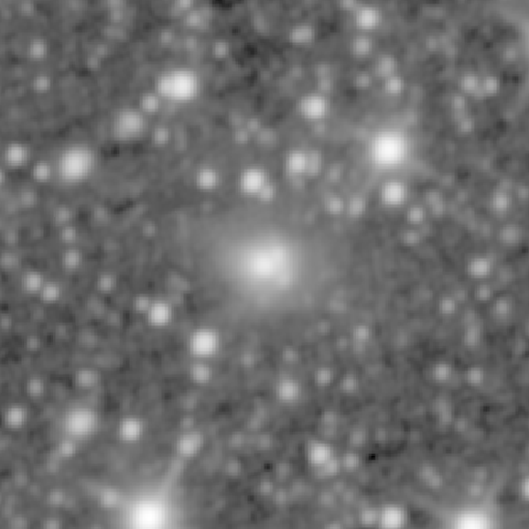 Survey preview for IC 521