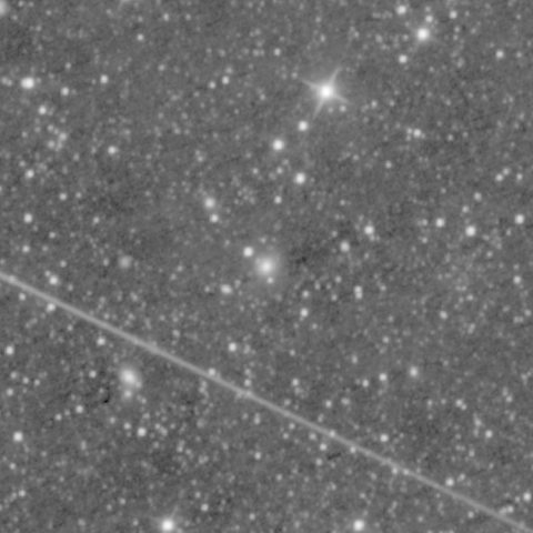 Survey preview for IC 556
