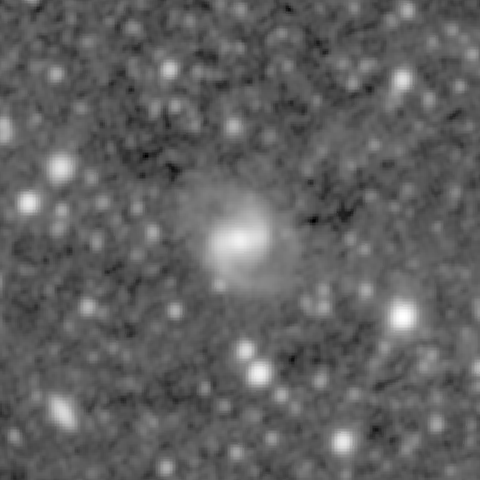 Survey preview for IC 568