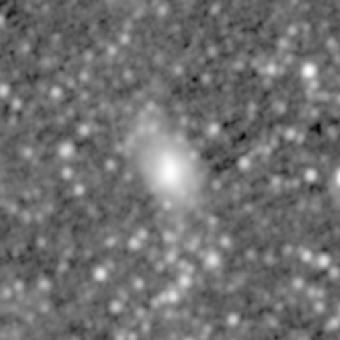 Survey preview for IC 600