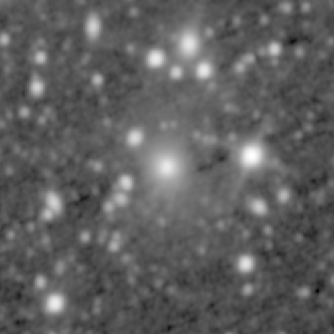 Survey preview for IC 613