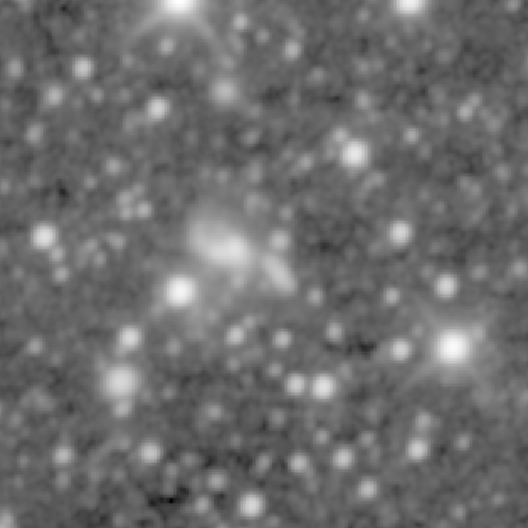 Survey preview for NGC 1741B