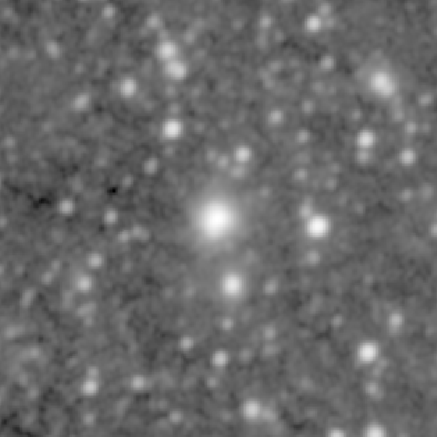 Survey preview for NGC 141