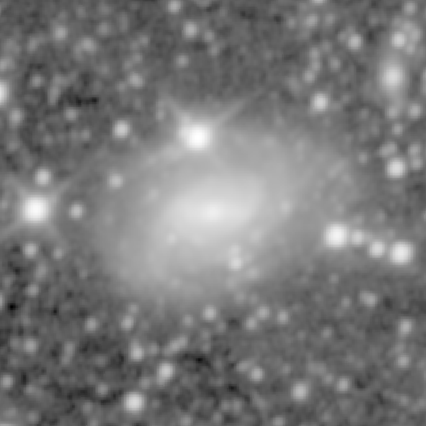 Survey preview for NGC 1784