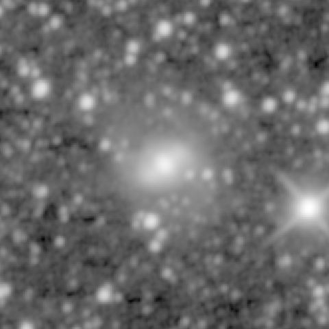 Survey preview for NGC 1819