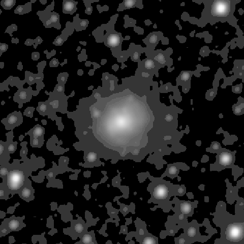 Survey preview for NGC 1843