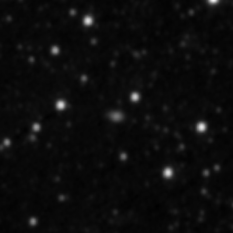 Survey preview for IC 731