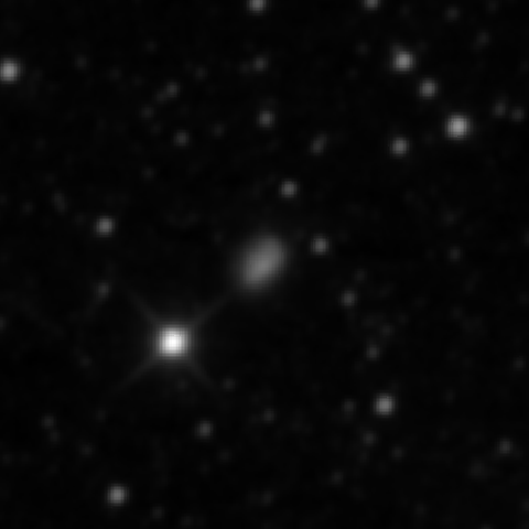 Survey preview for NGC 1906