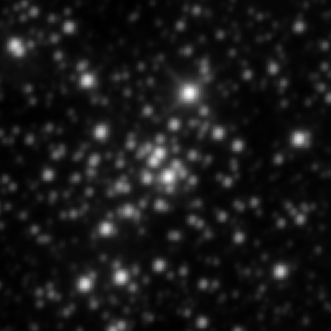 Survey preview for NGC 1907