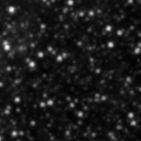 Survey preview for NGC 1911