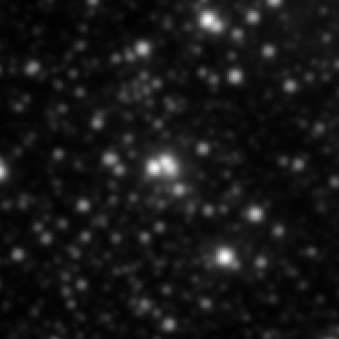 Survey preview for NGC 1951