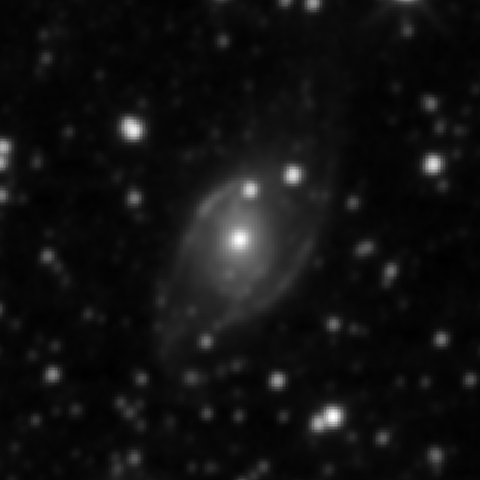 Survey preview for NGC 1954