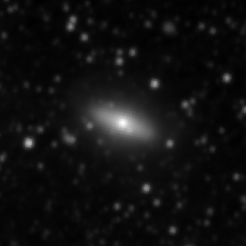 Survey preview for NGC 1956