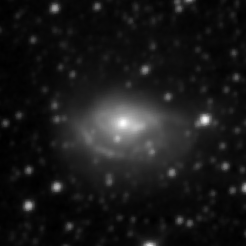 Survey preview for NGC 1961