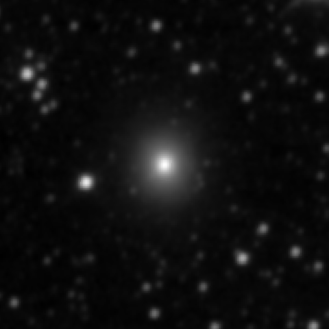 Survey preview for NGC 1979