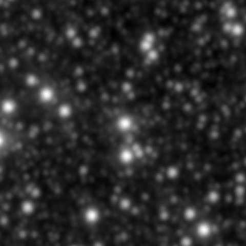 Survey preview for NGC 1984