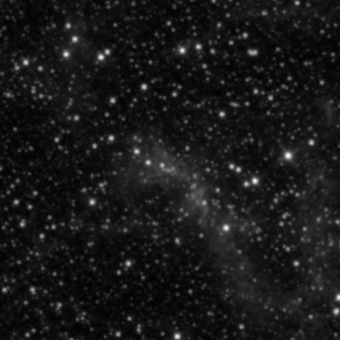 Survey preview for NGC 1991