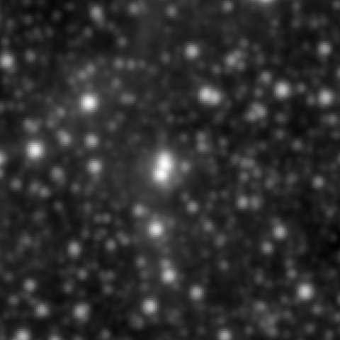 Survey preview for NGC 2009