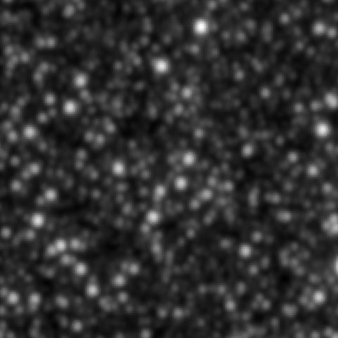 Survey preview for NGC 2016