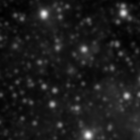 Survey preview for NGC 2021