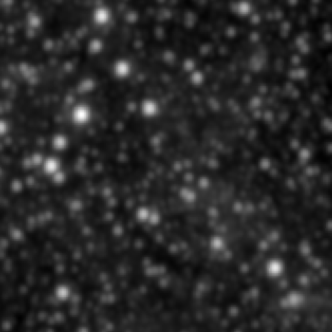 Survey preview for NGC 2037