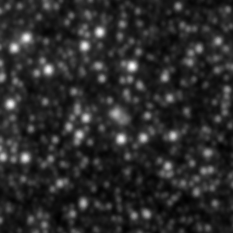 Survey preview for NGC 2038
