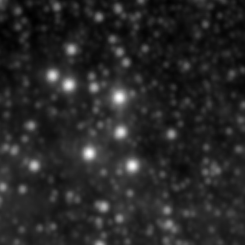 Survey preview for NGC 2042